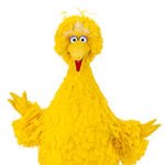 [NCT] 쟈니 빅<b>버드</b> 썰도 있음ㅋㅋㅋㅋㅋㅋ