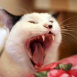 친구가 너무 <b>무식</b>해ㅜㅜㅜ