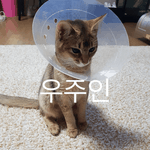 [강다니엘] 181031강다니엘 공카프사 <b>우주</b>인 오리 ㅋㅋㅋㅋㅋㅋㅋㅋㅋㅋ