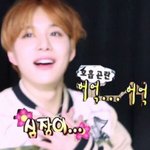 [NCT] 엔터 정우글~~