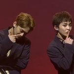 [EXO] 베를인 엑소엘 포즈랑 하뚜 귀여워