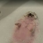 [댓글부탁해] 아빠 그만 좀 그으란말 수용할게