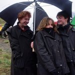 뉴이스트 세븐틴 둘다 파면서 느낀거