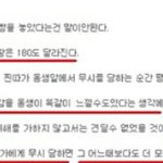 강서구 <b>pc</b>방 살인사건 심리 분석이래...