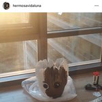 [댓글부탁해] <b>루나</b> 그루트 얼굴 만든거였엌ㅋㅋㅋ