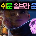 [웅댕이일상] 블리자드 제플란 <b>형</b>님에게 <b>한</b> 마디 날리는 일본인.JPG