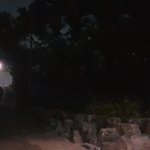 가로등 전쟁 - 이기적인 옆집 노인부부