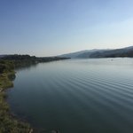 갈수록 <b>본성</b>나오는구나