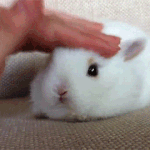 민지야 뭐<b>하닝</b>