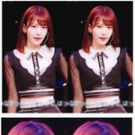 [드루와] 아이즈원  사쿠라 분위기