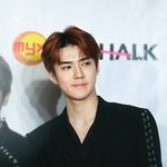 [세훈] 181028 <b>레드카</b>펫 고화질