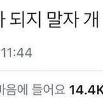[조언부탁해] 어떻게하면 좋을까