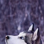 [꼭조언부탁] <b>물살</b> 다이어트질문이여