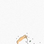 [댓글부탁해] 대학 고민중,,