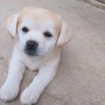 [드루와] 짱<b>절미</b>