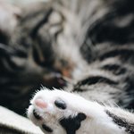 야 <b>이슬</b>톡톡 안주 없이 마셔도 됨???????