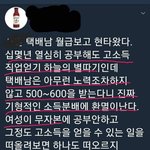[드루와] 남성택배기사가 <b>무자본</b> 월급이 많어 환멸난 트페미