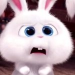 [댓글부탁해] 너넨 토끼하면 <b>무슨색</b> 떠올라