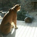 [댓글부탁해] 더 <b>고독</b>해보이는 뒷모습 추반