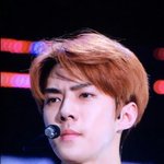 [세훈] 181102 <b>Tempo</b> 쇼케이스 프리뷰4