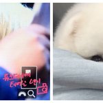 [강다니엘] 강다니엘 멈<b>무야</b> 8ㅁ8