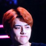 [세훈] 181102 <b>Tempo</b> 쇼케이스 프리뷰24