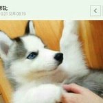 진짜 <b>무능력</b>하다