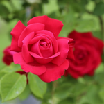 [댓글부탁해] 여러분들 음지..그 분들 어떻게 생각해요??