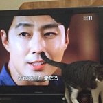 페북 <b>사진</b> 원래 잘 <b>안</b> 지워짐??