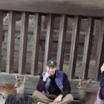 [방탄소년단] 남주니매력은 <b>사슴</b>도 아는듯~