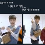 [NCT] 엔시티 웃짤 <b>모아</b>봄 ㅎㅎ