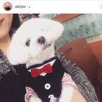 [꼭조언부탁] <b>애완</b>동물 데리고 가게들어가시나요?