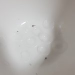 [드루와] 추)추)추가)<b>포도</b> 얼려먹었는데