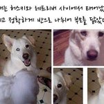 [댓글부탁해] 롱패딩 근데 벌써부터 왜입는거야?