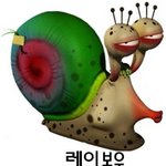 너네 후리스 있잖아