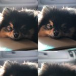 [방탄소년단] <b>연탄</b>이 남친짤