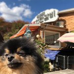 [방탄소년단] 연탄<b>갈비</b> 무엇