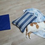 민지야 <b>자라</b>
