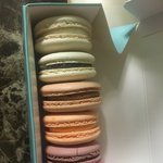 마카롱 <b>마</b><b>싯</b>겟쥐