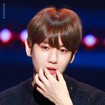 [EXO] 내가 먹고있는 음료수 <b>빨대</b> 아무렇지 않게 걍 쓰는 백현