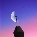 [댓글부탁해] 친구가 나 ㅈㄴ 찬양해...