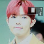 [EXO] 큥이 상위<b>호환</b>