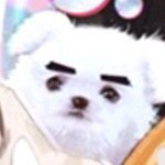 [NCT] 벌써내일 <b>니</b>가좋아나오는<b>날</b>이네