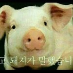 오 나 <b>배</b>에서 꾸루륵 소리<b>남</b>
