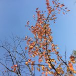 일상 <b>블로그</b> 하눈사람