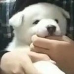 [드루와] 얘들아 나 살뺀다 진<b>짜임</b> 레알 뺄거야
