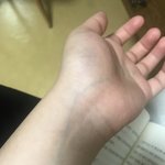 [댓글부탁해] <b>웜쿨</b> 구별해줄 공주??(사진있어