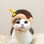 [댓글부탁해] <b>전문대</b> 수시 궁금한 점 생김