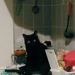 근데 <b>flex</b>에서 기리보이 발음 왜그래?