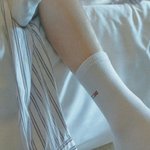 [EXO] 남돌 중 여리여리 발목 <b>소유자</b> 갑